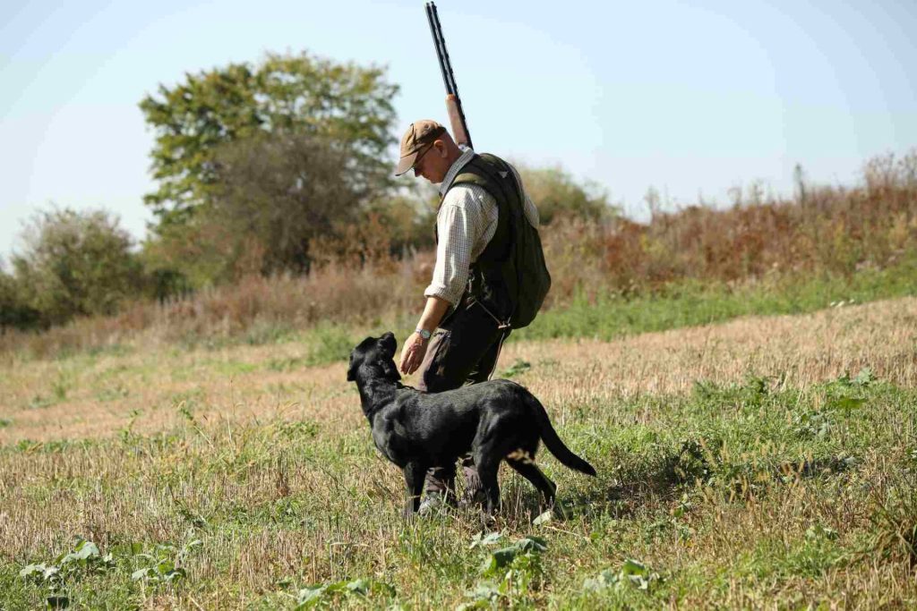 Jäger mit Hund im Feld